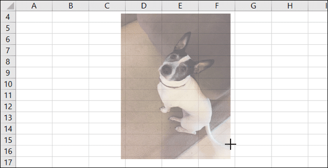 كيفية إدراج صورة في برنامج Microsoft Excel - %categories