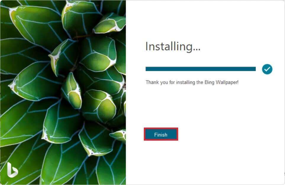 كيفية تنزيل Bing Wallpaper في Windows 11 - %categories