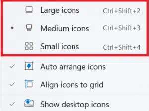 different-icon-size-options-300x223-1-300x223 كيفية تغيير أيقونات سطح المكتب على Windows 11