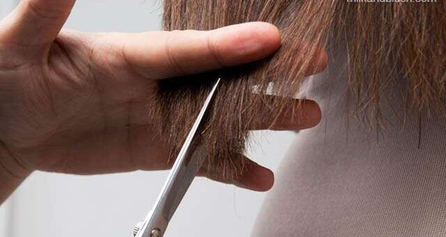 كيفية إصلاح الشعر التالف: 8 علاجات منزلية و 10 نصائح مذهلة - %categories