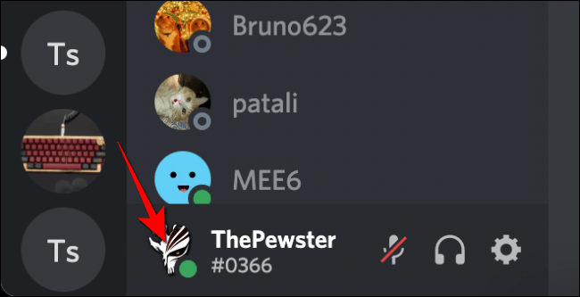 Click-on-discord-profile-picture-in-bottom-left-corner كيف تظهر في وضع عدم الاتصال على Discord