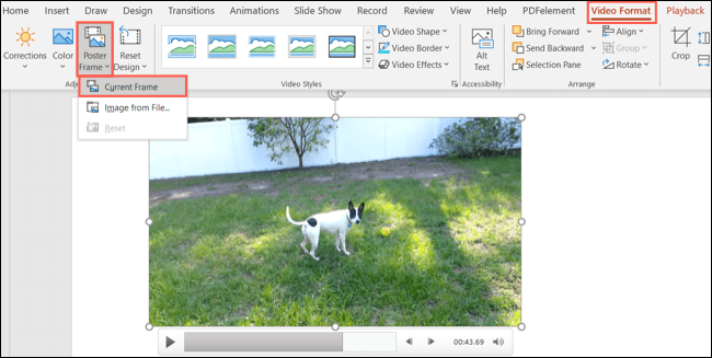 CurrentFrame-PowerPointVideoImage كيفية تعيين صورة المعاينة للفيديو في Microsoft PowerPoint