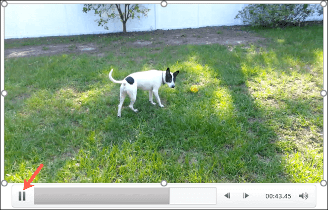 Pause-PowerPointVideoImage-1 كيفية تعيين صورة المعاينة للفيديو في Microsoft PowerPoint