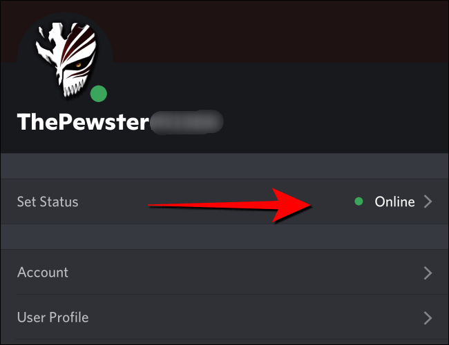 Select-Online-next-to-Set-Status-Section-in-Discord-on-mobile كيف تظهر في وضع عدم الاتصال على Discord