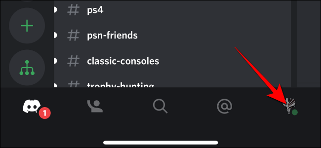 Tap-on-discord-profile-picture-on-mobile كيف تظهر في وضع عدم الاتصال على Discord