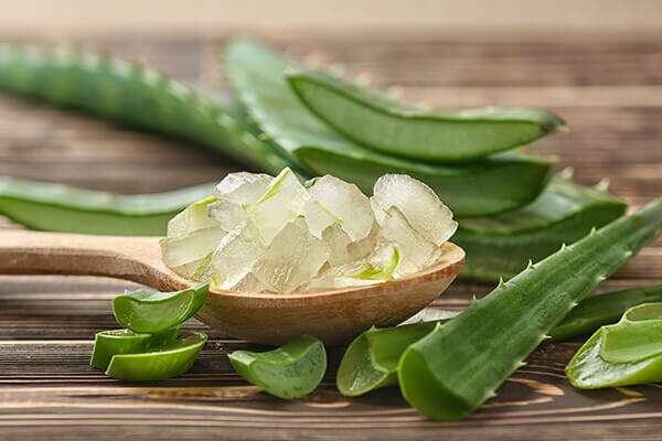 benefits of aloe vera for healthy hair 600x400 - كيفية صنع زيت الصبار والبصل لشعر صحي
