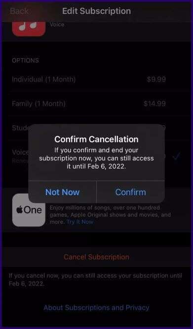 how-to-cancel-apple-music-voice-plan-step-7_935adec67b324b146ff212ec4c69054f-391x666 أفضل 3 طرق لإلغاء خطة Apple Music Voice على iPhone