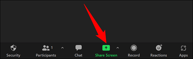 1-screen-share-zoom كيف تشغيل الموسيقى على Zoom
