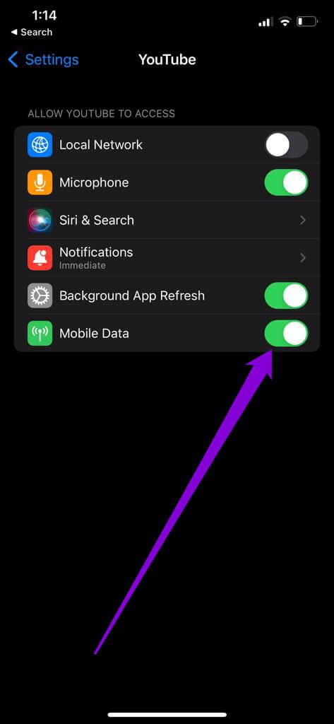 Allow-YouTube-to-Use-Mobile-Data أفضل 8 طرق لإصلاح مشكلة "حدث خطأ ما" على YouTube لأجهزة iPhone