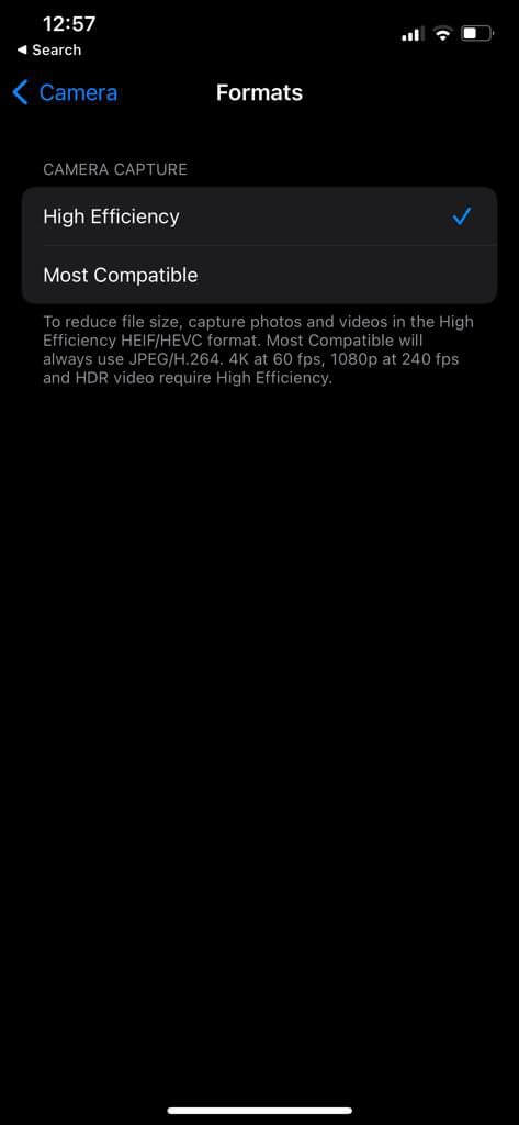 Camera-Formats-on-iPhone أفضل 8 طرق لإصلاح تأخر الكاميرا على iPhone