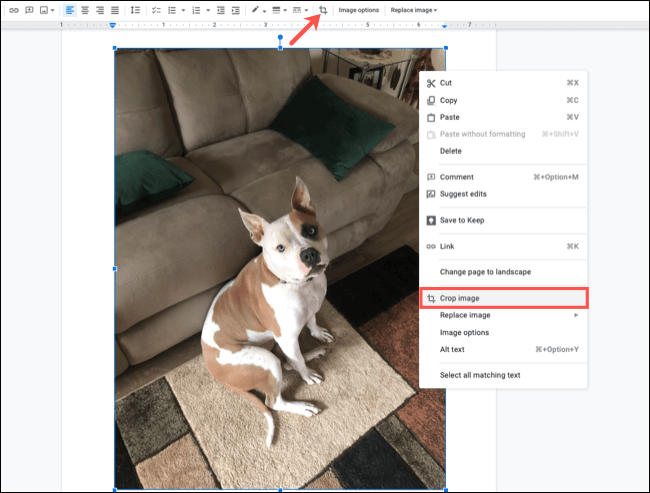 CropImage-GoogleDocsEditImage كيفية اقتصاص الصور وتدويرها وضبطها في Google Docs