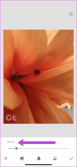 How-to-Add-Watermark-to-Photos-on-iPhone-15 كيفية إضافة علامة مائية إلى الصور على iPhone