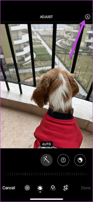 How-to-Add-Watermark-to-Photos-on-iPhone-3 كيفية إضافة علامة مائية إلى الصور على iPhone