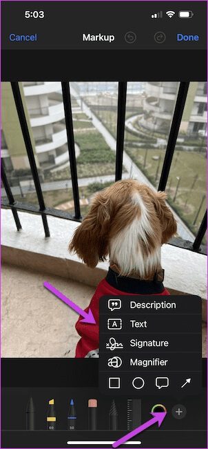 How-to-Add-Watermark-to-Photos-on-iPhone-5 كيفية إضافة علامة مائية إلى الصور على iPhone