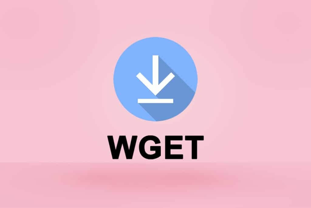 How-to-Download-Install-and-Use-WGET-for-Windows-10-1024x684-1 كيفية تنزيل WGET لنظام التشغيل Windows 10 وتثبيته واستخدامه