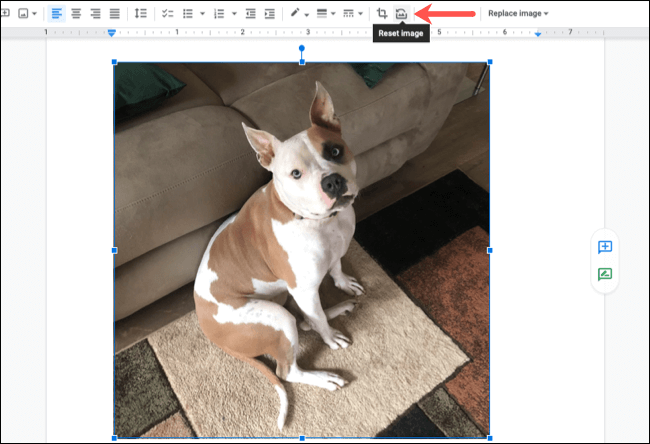 ResetImage-GoogleDocsEditImage كيفية اقتصاص الصور وتدويرها وضبطها في Google Docs