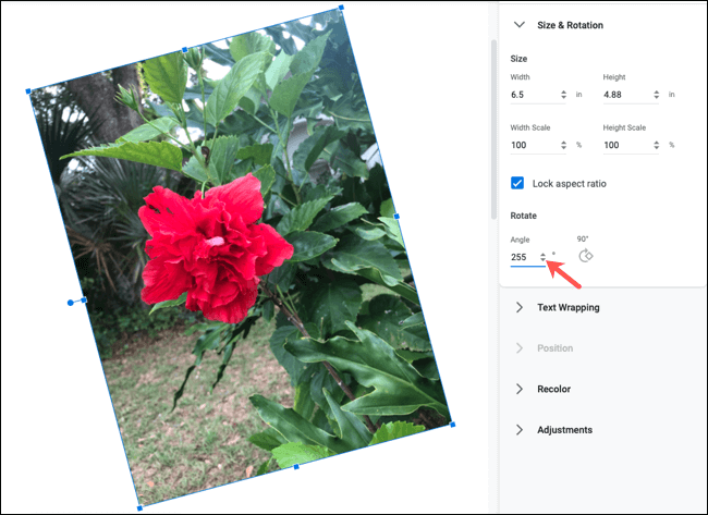 كيفية اقتصاص الصور وتدويرها وضبطها في Google Docs - %categories