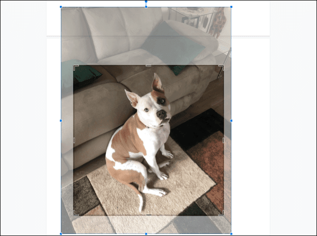 SetCrop-GoogleDocsEditImage كيفية اقتصاص الصور وتدويرها وضبطها في Google Docs