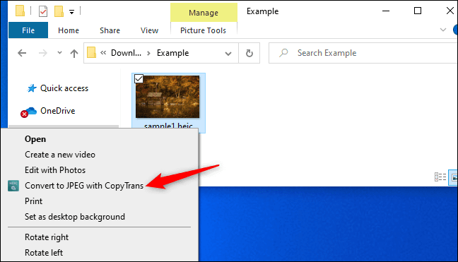 كيفية فتح ملفات HEIC على Windows (أو تحويلها إلى JPEG) - %categories