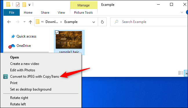 copytrans كيفية فتح ملفات HEIC على Windows (أو تحويلها إلى JPEG)