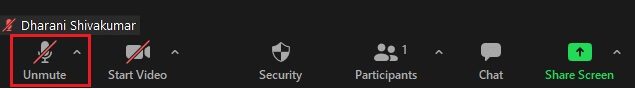 if-the-mic-status-is-set-to-unmute-it-means-the-a إصلاح عدم عمل صوت Zoom في Windows 10