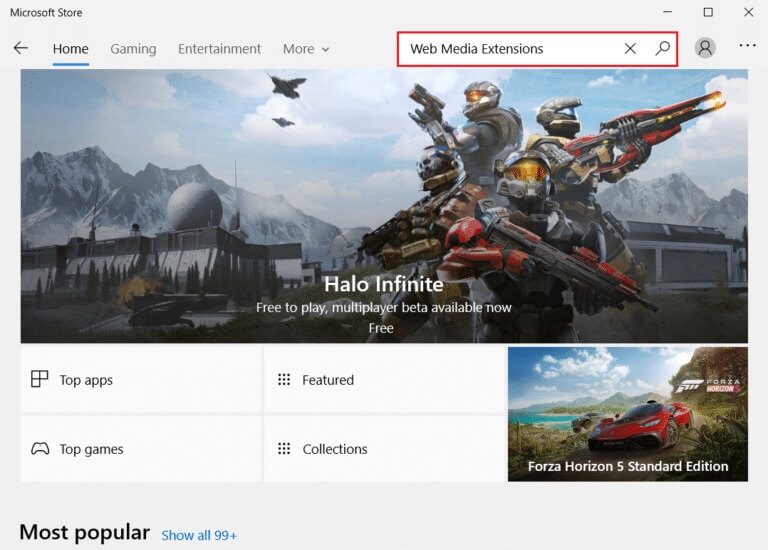 search-for-web-media-extensions-in-the-Microsoft-Store-768x550-1 كيفية تشغيل ملفات OGG على Windows 10