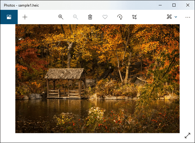 sshot-26 كيفية فتح ملفات HEIC على Windows (أو تحويلها إلى JPEG)