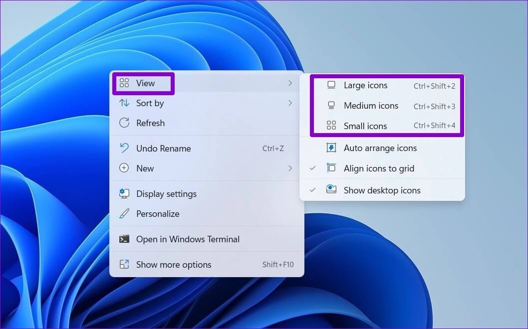 Change-Desktop-Icon-Size-on-Windows كيفية تغيير الأيقونات على Windows 11