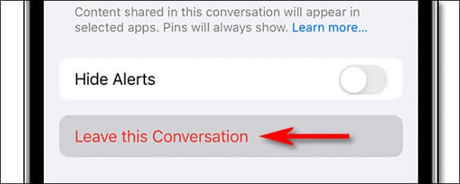 apple_leave_this_conversation2 كيفية ترك دردشة جماعية على iPhone على Messages