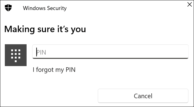 enter-pin-into-the-box كيفية استخدام Windows Hello Webcam لتسجيل الدخول على Windows 11