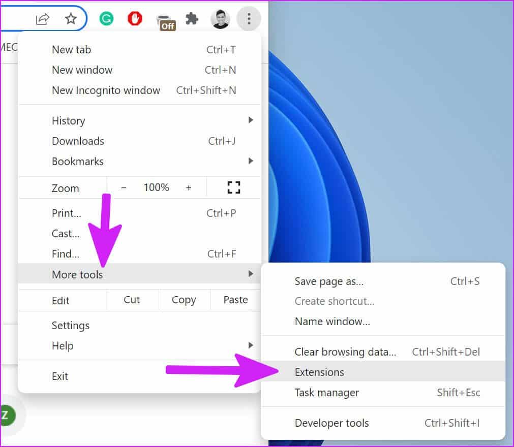 open-chrom-extensions 9 أفضل الطرق لإصلاح خطأ تعطل الصفحة في Google Chrome