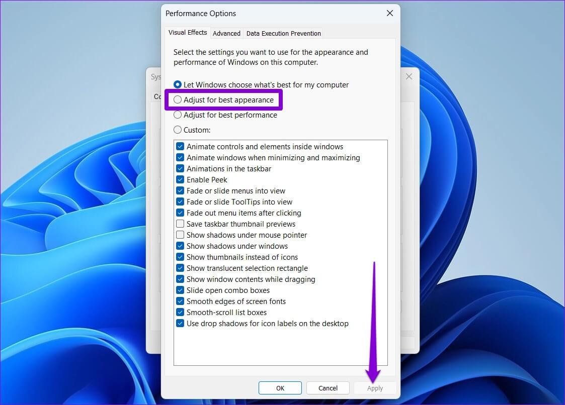 Manage-Performance-Options-on-Windows-11-1123x806 أفضل 6 طرق لإصلاح مشكلة الشاشة الضبابية على Windows 11