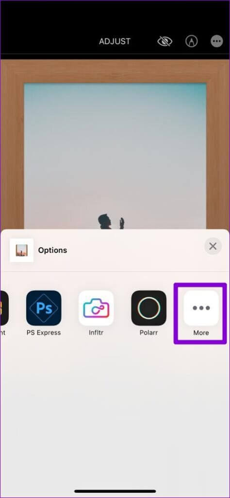 More-Options-474x1024-1 كيفية استخدام الإضافات في تطبيق الصور على iPhone