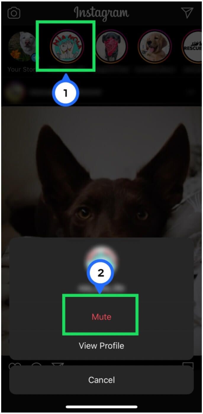 كيفية إلغاء كتم صوت قصة Instagram - %categories