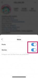 كيفية إلغاء كتم صوت قصة Instagram - %categories