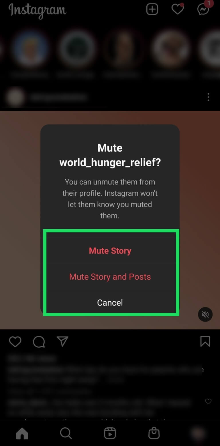 كيفية إلغاء كتم صوت قصة Instagram - %categories