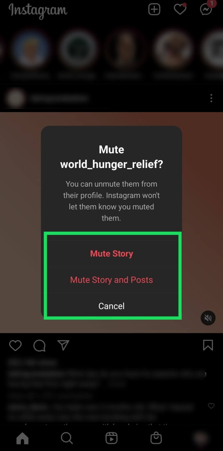 Screenshot-29-2-768x1552 كيفية إلغاء كتم صوت قصة Instagram
