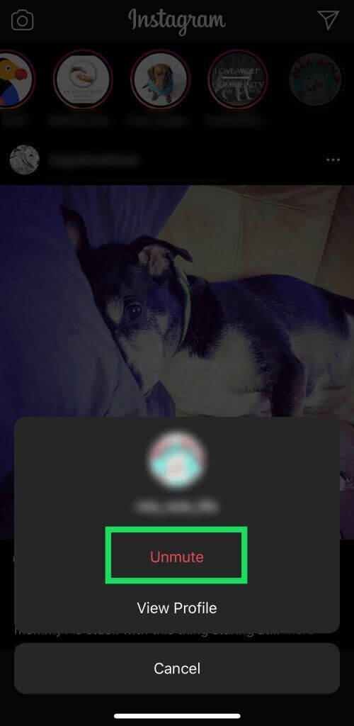 Screenshot-9-1-500x1024 كيفية إلغاء كتم صوت قصة Instagram