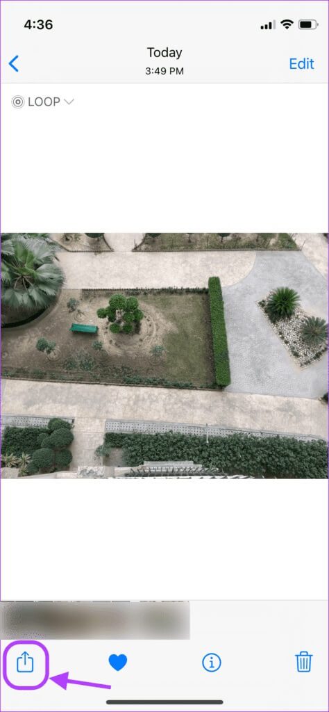 Send-Live-Photos-as-GIFs-from-Photos-App-5-474x1024-1 كيفية إرسال صور حية كملفات GIF على WhatsApp