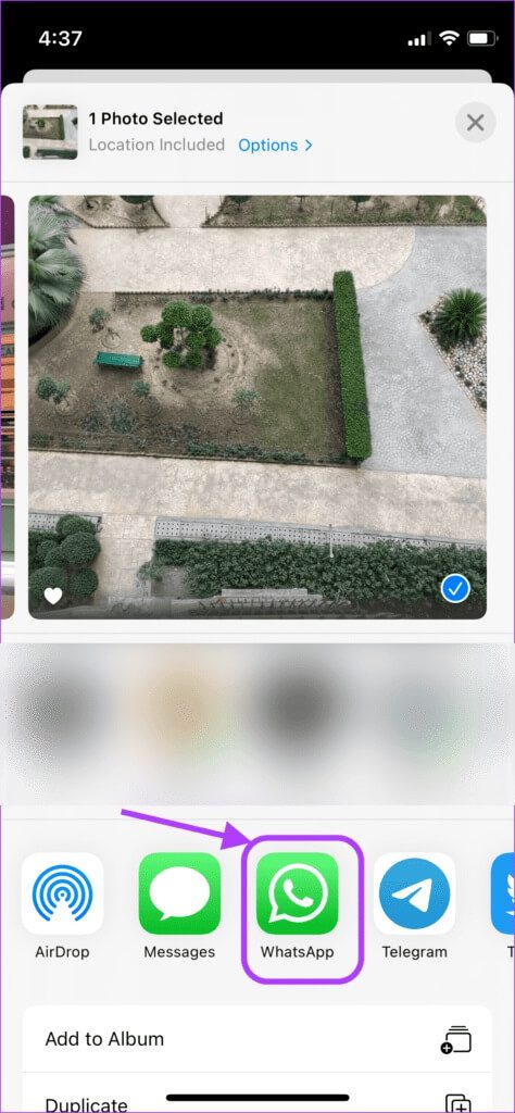 كيفية إرسال صور حية كملفات GIF على WhatsApp - %categories