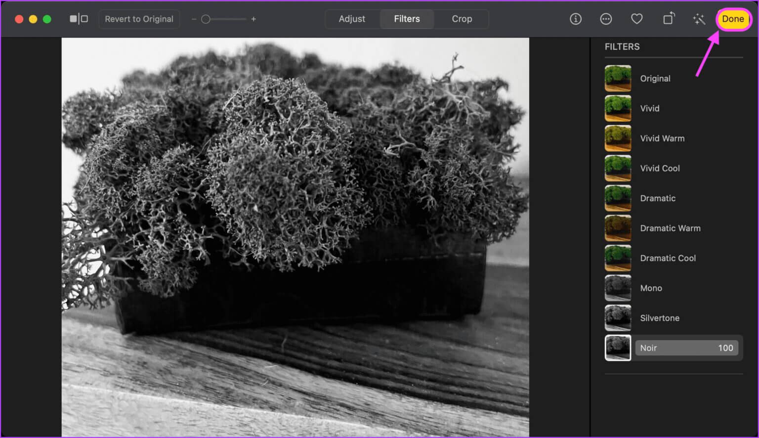Use-Filters-for-Enhancing-Your-Photos-4-1536x886-1 كيفية تحرير الصور باستخدام تطبيق الصور على جهاز Mac