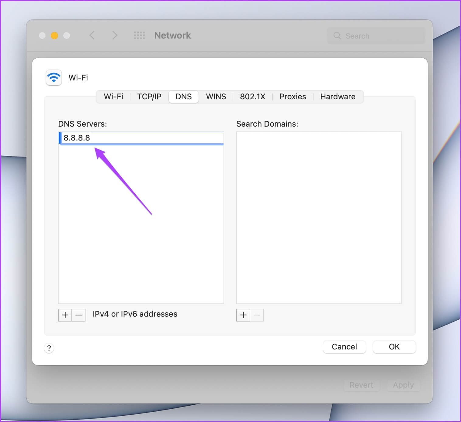 add-DNS-server-network-mac-1516x1390 أفضل 6 طرق لإصلاح عدم تسجيل دخول Microsoft OneDrive على جهاز Mac