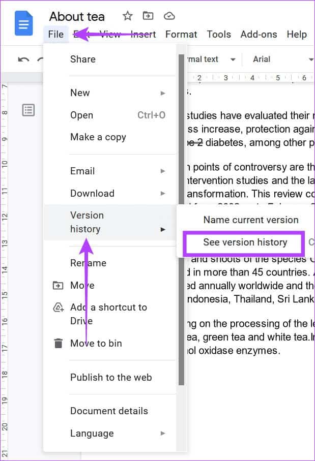 google-docs-track-changes-version-history-1-619x907 كيفية استخدام تعقب التغييرات في مستندات Google