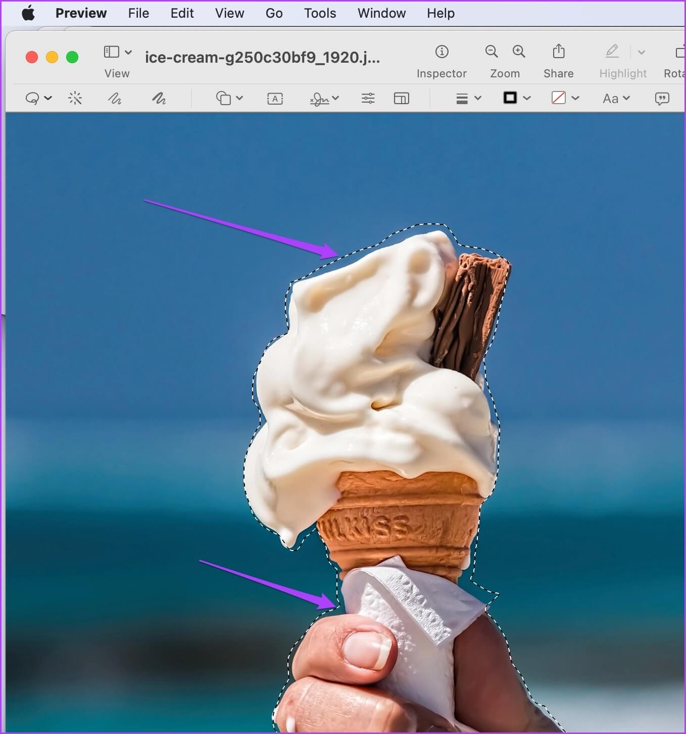 lasso-selection-selected-area-1358x1452 كيفية إزالة خلفية الصورة على نظام Mac باستخدام Preview