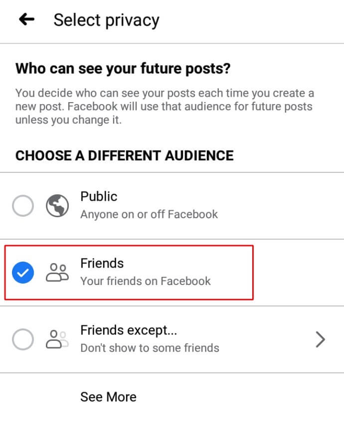 ppa11-690x847 كيف تجعل ملفك الشخصي خاصًا على Facebook
