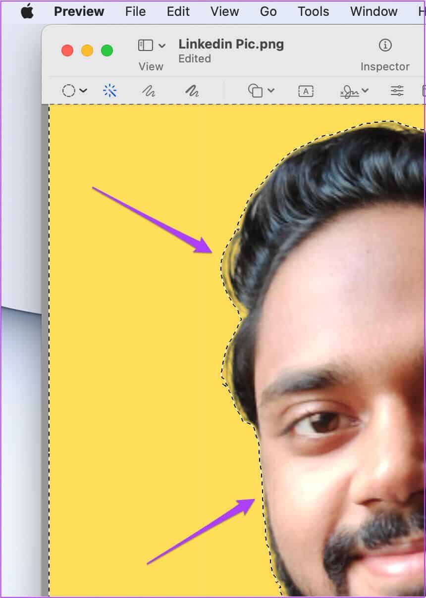 selected-area-instant-alpha-preview-mac-860x1208 كيفية إزالة خلفية الصورة على نظام Mac باستخدام Preview