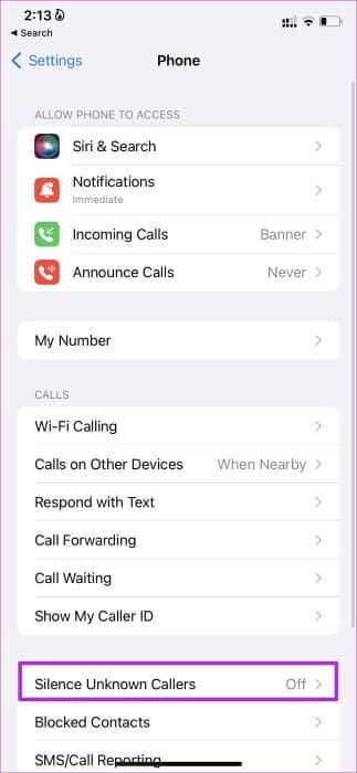 silence-unknown-callers أفضل 8 طرق لإصلاح عدم ظهور مكالمات iPhone على iPad