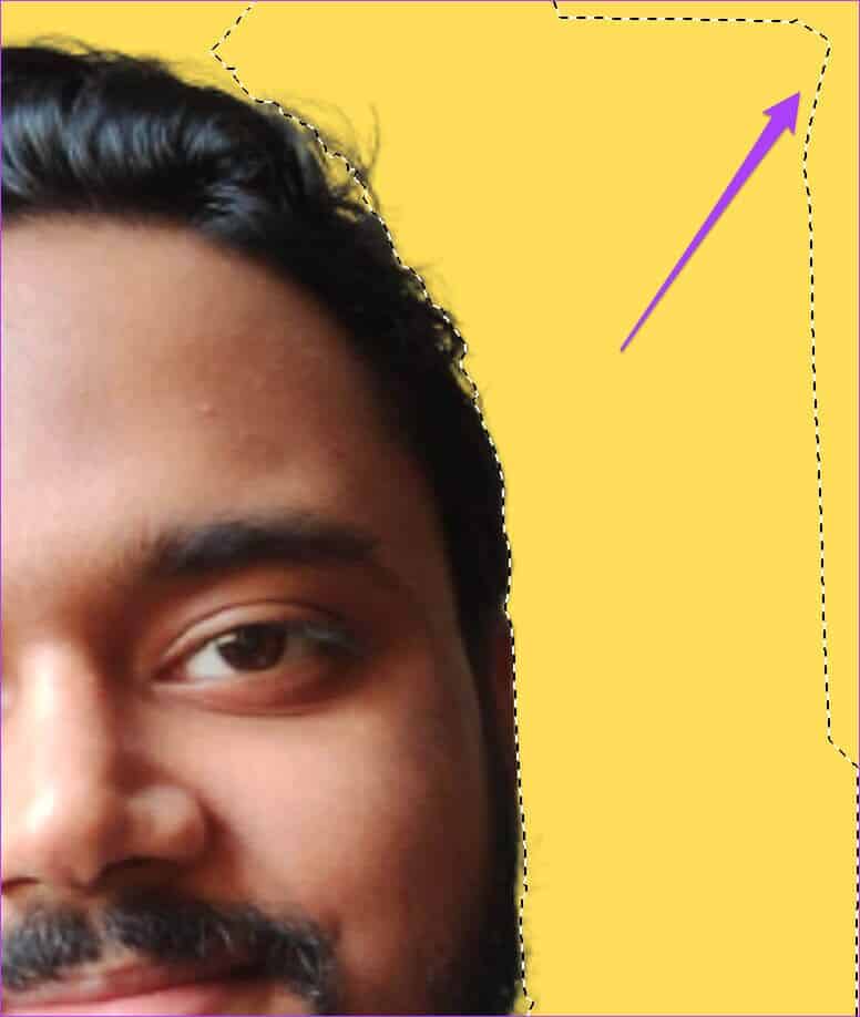 with-bordersmart-lasso-selected-area-776x918 كيفية إزالة خلفية الصورة على نظام Mac باستخدام Preview