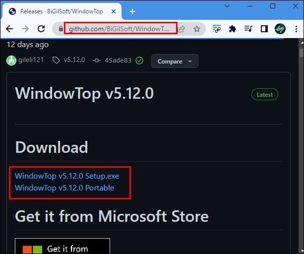 كيفية الحفاظ على النافذة دائمًا في المقدمة في Windows 11 - %categories