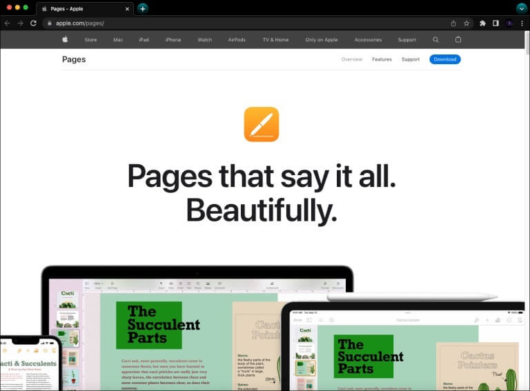 Apple-768x567 بدائل Microsoft Word لنظام التشغيل Mac